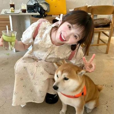战火中的花蕾